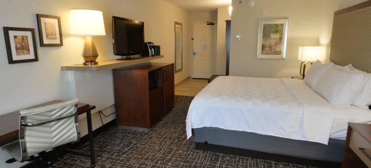 明尼阿波利斯莱克维尔假日酒店(Holiday Inn & Suites Minneapolis - Lakeville)图片