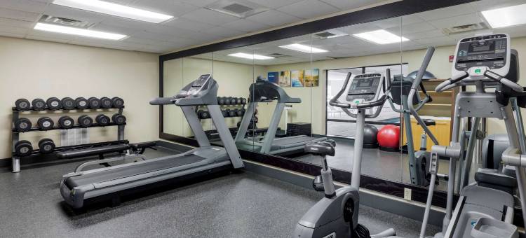 谢尔曼舒适酒店(Comfort Inn Sherman)图片