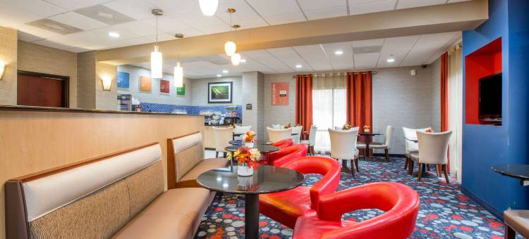 洛克斯特格罗夫亚特兰大南舒适全套房酒店(Comfort Suites Locust Grove Atlanta South)图片