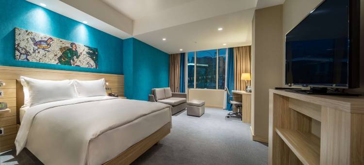 卡拉曼马拉斯希尔顿欢朋酒店(Hampton by Hilton Kahramanmaras)图片