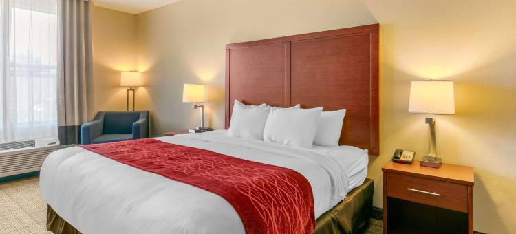 纳什维尔富兰克林冷泉舒适套房酒店(Comfort Inn & Suites Nashville Franklin Cool Springs)图片