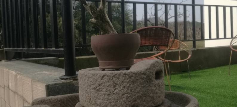 一壶春客栈(阳山大道分店)图片