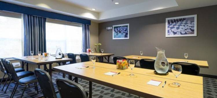 阿伦德尔米尔斯巴尔的摩国际机场TownePlace Suites酒店(TownePlace Suites Arundel Mills BWI Airport)图片