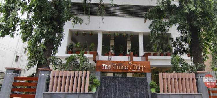 浦那郁金香大酒店(The Grand Tulip)图片