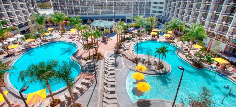 奥兰多布纳维斯塔湖喜来登度假酒店(Sheraton Orlando Lake Buena Vista Resort)图片