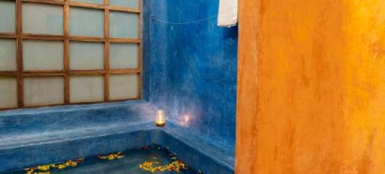 果阿胡斯塔莫吉姆海滩度假村(Justa Morjim Beach Resort Goa - 80 Steps from Morjim Beach)图片