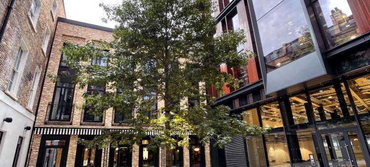 霞光街索尔德街酒店(Sun Street Hotel Shoreditch)图片