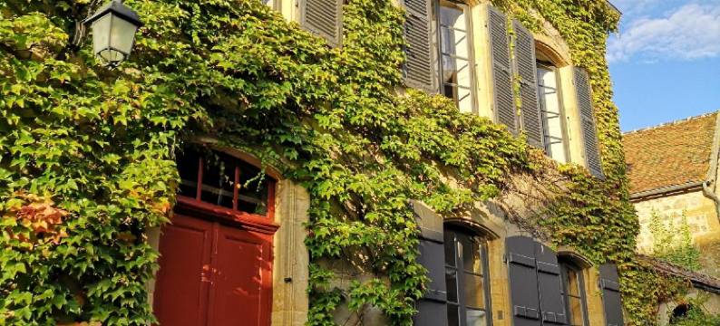 “莱蒂莱特”客栈(Maison d'hôtes - les Tillets)图片