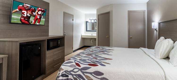 杰克逊红顶套房酒店(Red Roof Inn & Suites Jackson, TN)图片