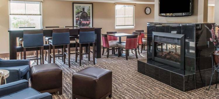 贝拉维农舒适酒店(Comfort Inn)图片