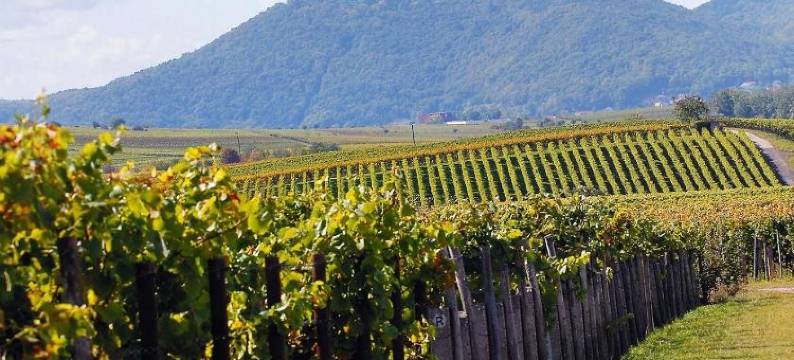 拉贝木屋酒店(Chalet Raabe)图片