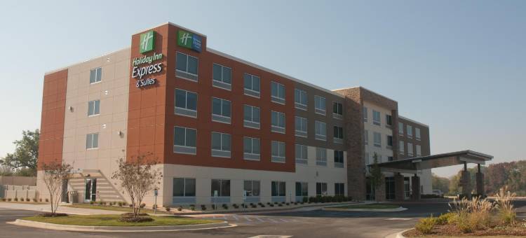 智选假日套房酒店迪凯特 by IHG(Holiday Inn Express & Suites Decatur by IHG)图片