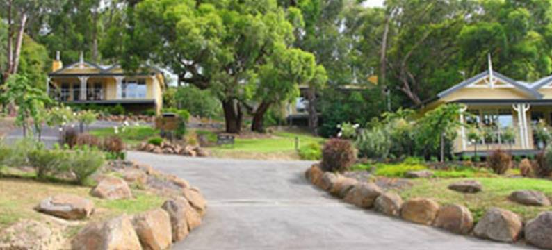 3王民宿(3 Kings Bed and Breakfast)图片