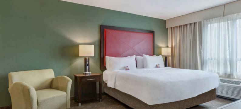 Crowne Plaza 休斯顿广场区(Crowne Plaza HOUSTON GALLERIA AREA by IHG)图片