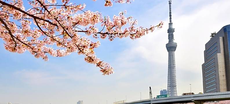 KOKO HOTEL 上野站前(原名：Hotel Wing Select 上野・御徒町)(KOKO HOTEL Ueno Ekimae (formerly Hotel Wing Select Ueno-Okachimachi))图片