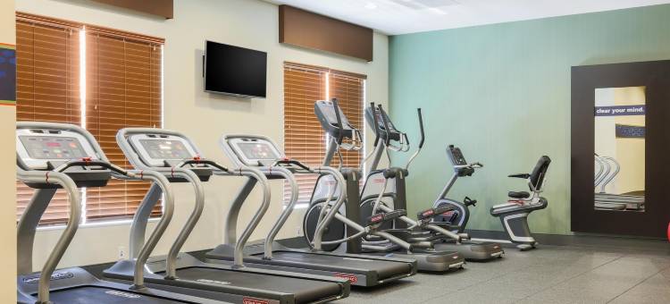美国达拉斯/弗赖拉辛北球馆欢朋套房酒店(Hampton Inn & Suites by Hilton Dallas/Frisco North-Fieldhouse USA)图片
