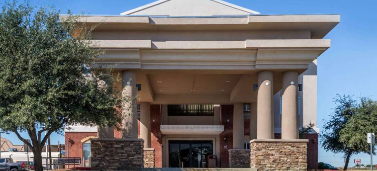 舒适套房酒店(Comfort Inn & Suites)图片