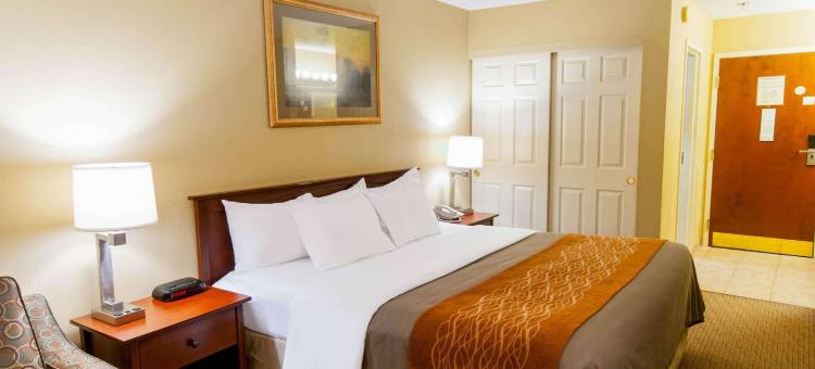 新荷兰阿米什乡村舒适酒店(Comfort Inn Amish Country)图片