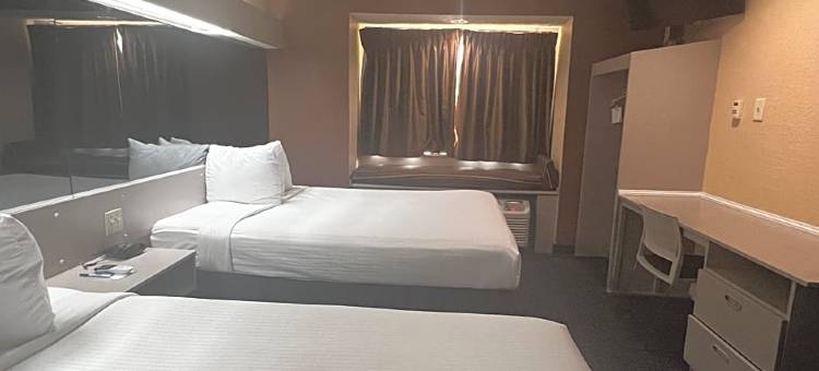 休斯顿麦客达套房酒店(Microtel Inn & Suites by Wyndham Houston)图片