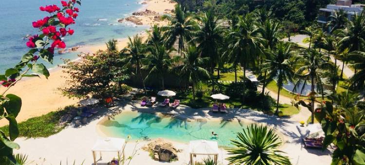 玛丽那度假村(Casa Marina Resort)图片