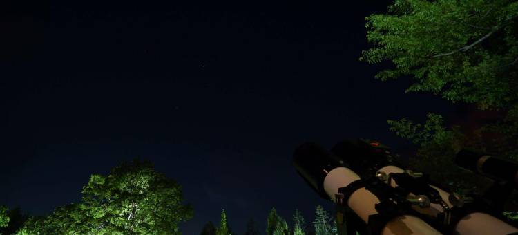 仙台皇家花园酒店(Sendai Royal Park Hotel)图片