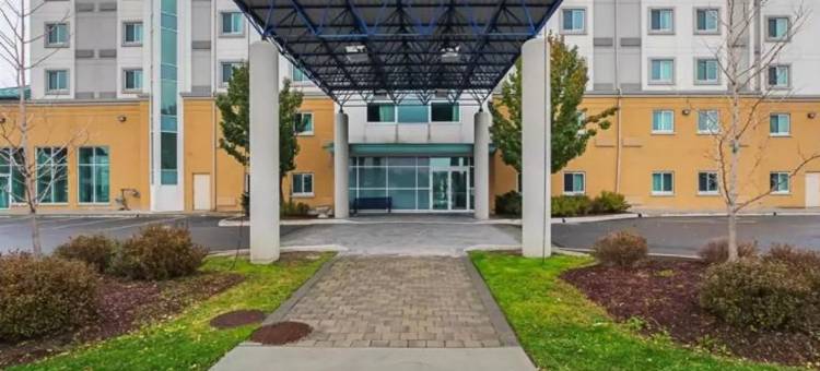 舒适酒店(Comfort Hotel)图片