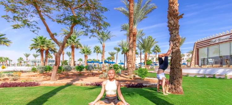 信天翁沙姆度假村 - 皮卡尔巴特罗斯(Albatros Sharm Resort - by Pickalbatros)图片