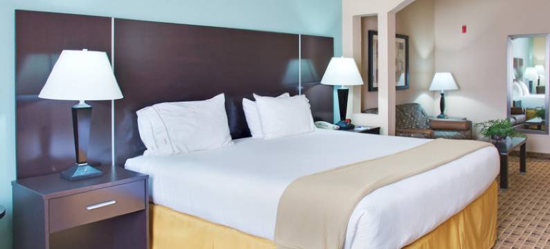 智选假日套房酒店休斯顿能源走廊 - W奥克斯(Aspen Grand Hotel Houston)图片