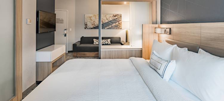 达拉斯麦金尼艾伦SpringHill Suites酒店(SpringHill Suites Dallas McKinney/Allen)图片