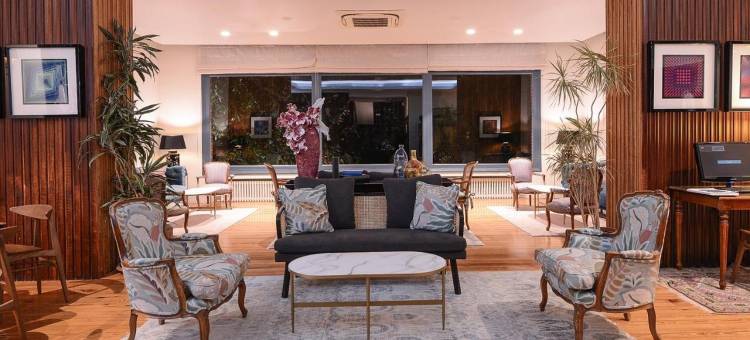 阿尔卡萨酒店(Hotel Alcazar)图片