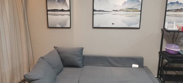 临公园近地铁两室两厅电梯家庭房公寓(拥军街分店)图片