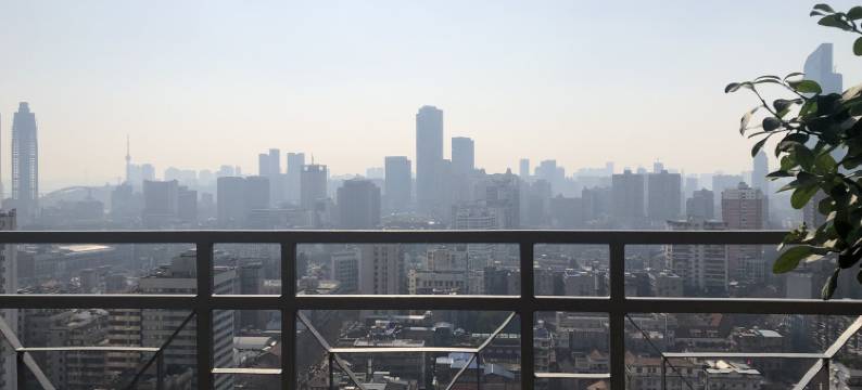 房东小笛蛙公寓(吉庆街分店)图片