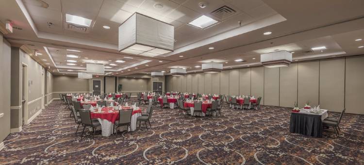 Holiday Inn 奥斯汀城(Holiday Inn AUSTIN MIDTOWN by IHG)图片