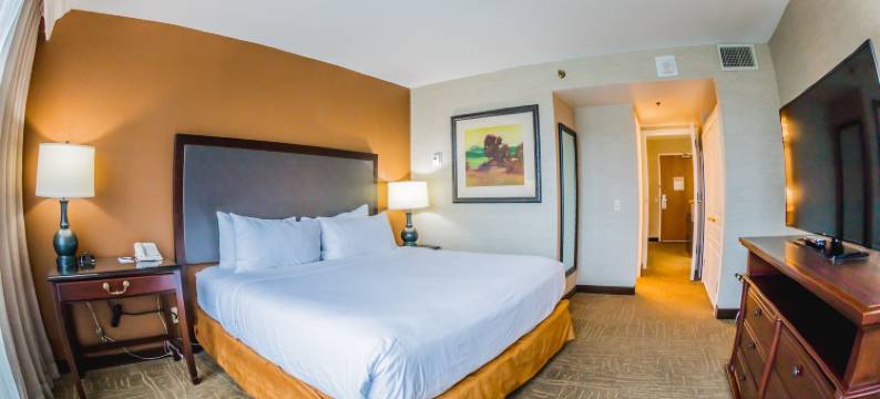 列克星敦格林希尔顿大使套房酒店(Embassy Suites by Hilton Lexington Green)图片