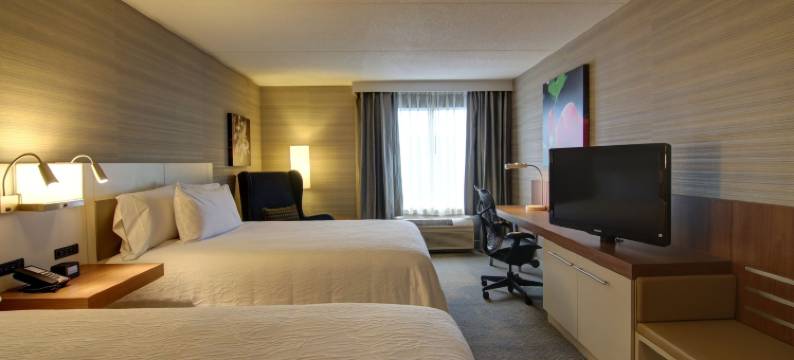 多伦多米西索加希尔顿花园旅馆(Hilton Garden Inn Toronto/Mississauga)图片