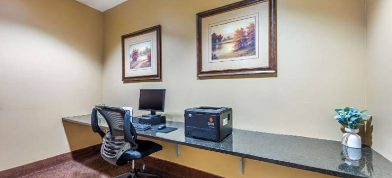 格兰德艾兰贝斯特韦斯特优质套房酒店(Best Western Plus Grand Island Inn  Suites)图片