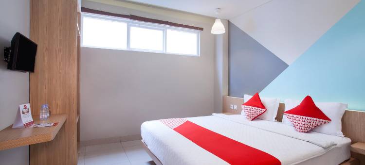 旗舰101苹果白金(Flagship 101 Apple Platinum)图片