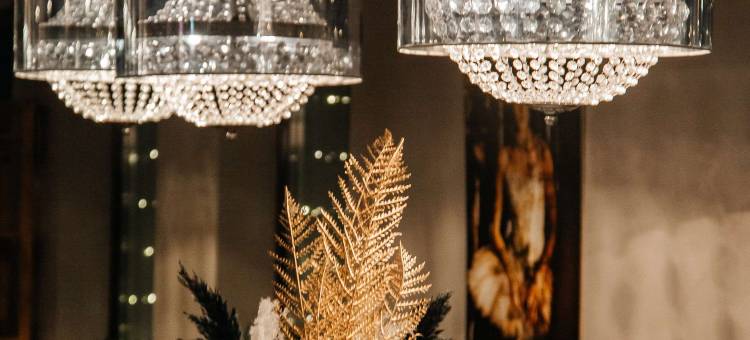 圣彼得堡桑娅丽笙酒店(Radisson Sonya Hotel Saint Petersburg)图片