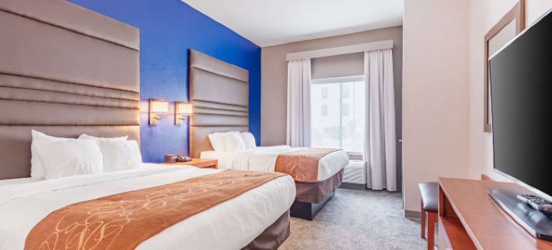 德纳姆斯普林斯舒适套房酒店(Comfort Suites Denham Springs)图片