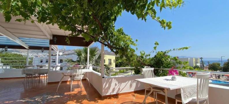 Asterina酒店(Asterina Hotel)图片