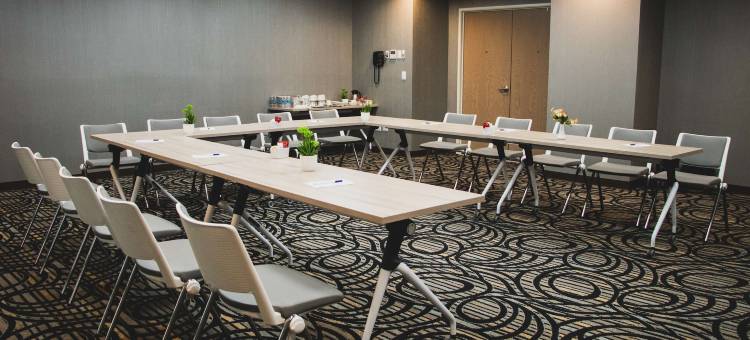 莱昂希尔顿花园酒店(Hilton Garden Inn Leon)图片