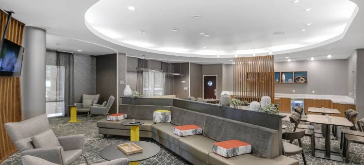 萨克拉门托纳多马斯万豪SpringHill酒店(SpringHill Suites Sacramento Natomas)图片