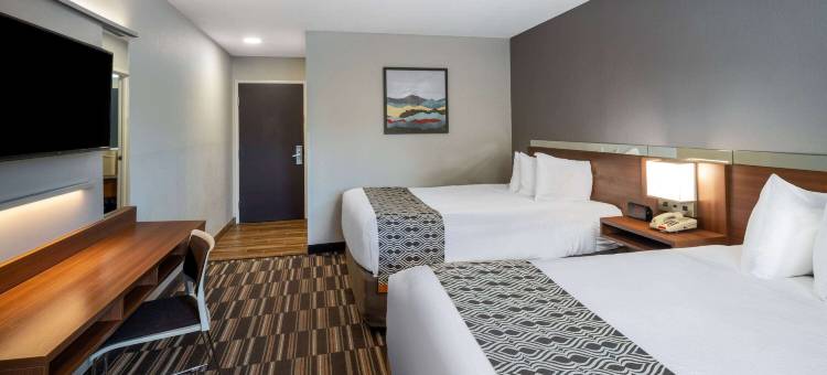 普勒-萨凡纳麦客达套房酒店(Microtel Inn & Suites by Wyndham Pooler/Savannah)图片