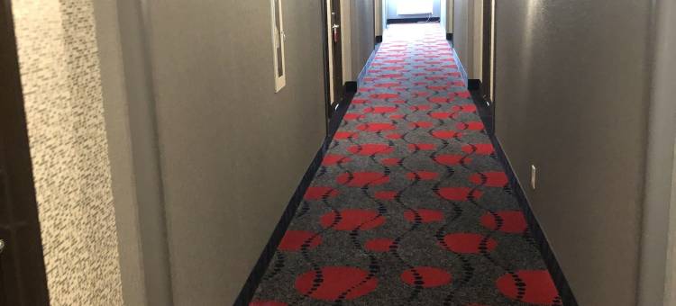 卡瓦佐斯堡附近盖茨维尔舒适套房酒店(Comfort Inn & Suites Gatesville Near Fort Cavazos)图片