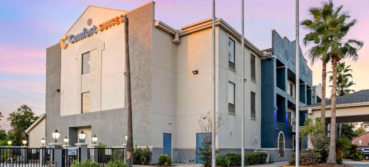 休斯顿西北舒适套房酒店-复古公园(Comfort Suites Houston NW - Vintage Park)图片