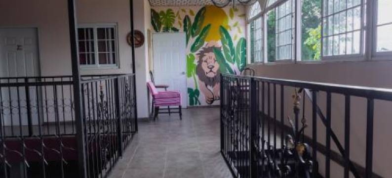 Black Lion Inn图片