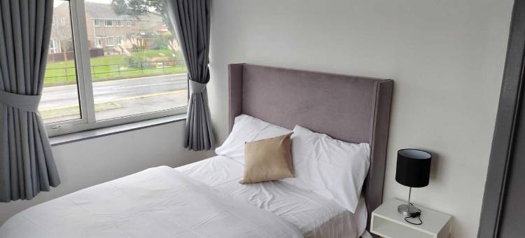 银城酒店(Silver City Hotel)图片