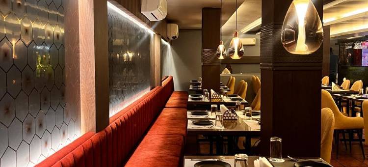 印度斯蒂亚拉 - 企业精品酒店(INDUS TIARA- A Corporate Boutique Hotel)图片