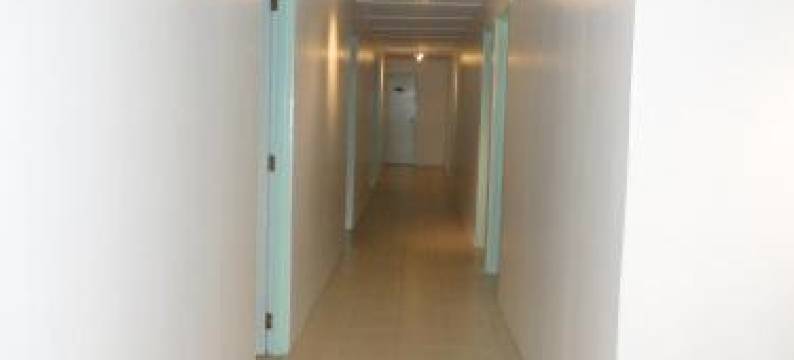 Flying Annie Moa图片