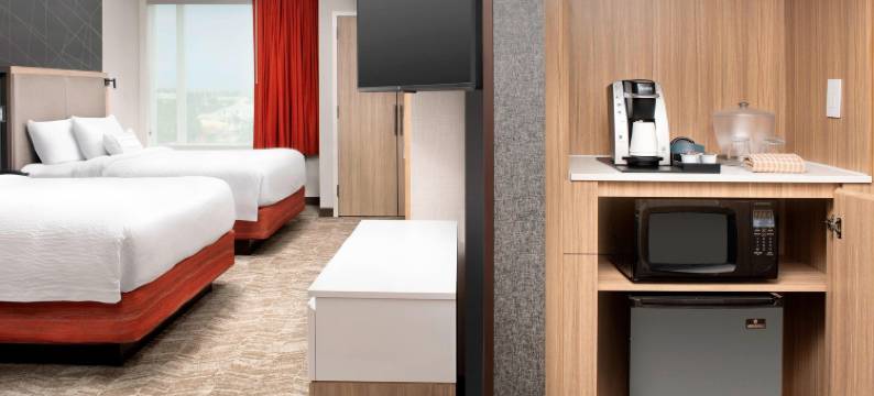 蓬塔戈尔达港滨SpringHill Suites酒店(SpringHill Suites Punta Gorda Harborside)图片